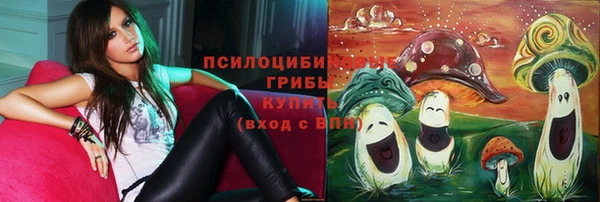 ALPHA-PVP Белокуриха